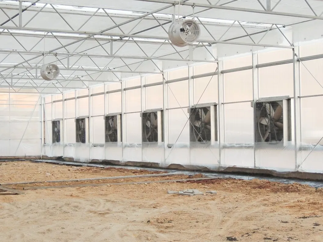 Agricultural Greenhouses Stainless Steel Pad Exhaust Fan Cooling System