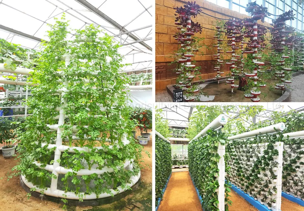 Vertical Agriculture Farm Nft Channel Hydroponics System for Fish Vegetable Symbiosis Eco Greenhouse with Cooling/Heating Fan