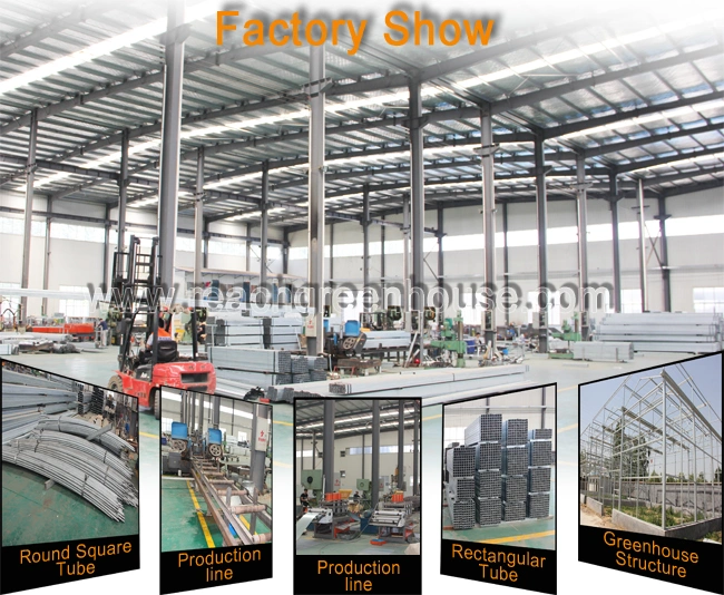 Hot Professional Design Greenhouse Heating System