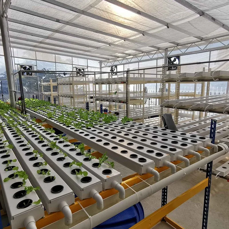 Greenhouse Nft Growing Systems for Farm Cultivation