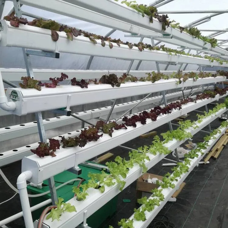 a Type Planting Frame Hydroponics Growing System for Greenhouse