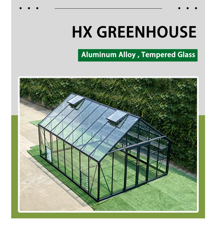 Outdoor Metal Aluminum Frame Green House Backyard Mini Glasshouse Victorian Commercial Glass Garden Greenhouse Used for Sale