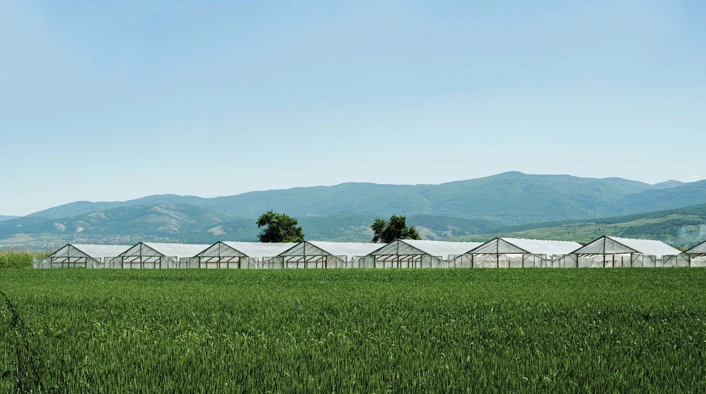 Low Cost Agricultural Used Plastic Film Hydropoinics Greenhouses Building Material for Sale