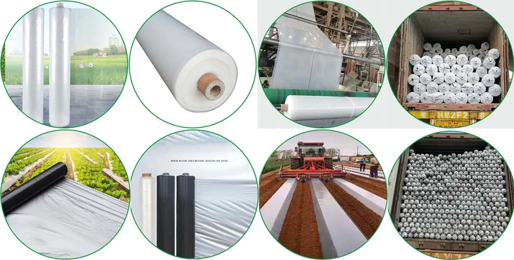 High Quality Black Mulch Film Stretch Film PE Film 180micron 190micron Black White Plastic Film Panda Film Black White Film Greenhouse Cover Greenhouse Film