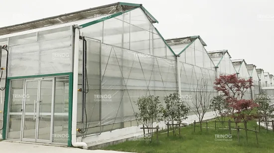 Serre en polycarbonate à toit triangulaire agricole avec coussin de refroidissement et ventilateurs