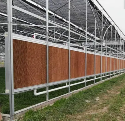 Système de ventilation de refroidissement par air pour l'agriculture, serre, plantation de fleurs, atelier industriel