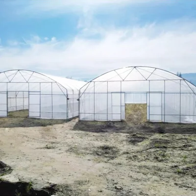 Rouleau de fabrication Agriculture Xinhe, maison personnalisée préfabriquée, matériaux de couverture de serre verte en plastique