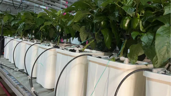 Système de plantation automatisé, support de culture vertical multicouches, ferme intelligente pour légumes